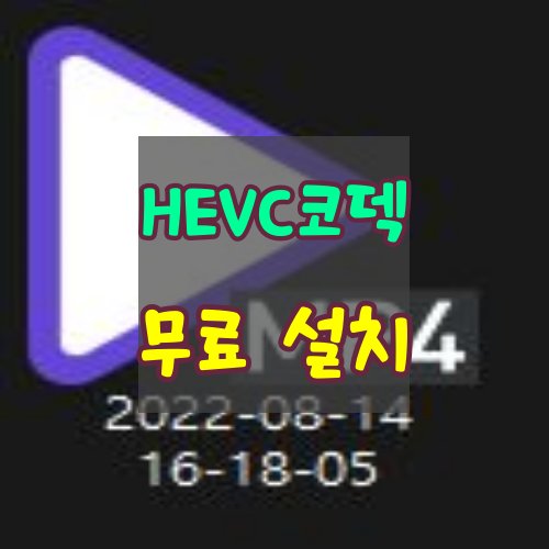 HEVC-코덱-무료-설치하기