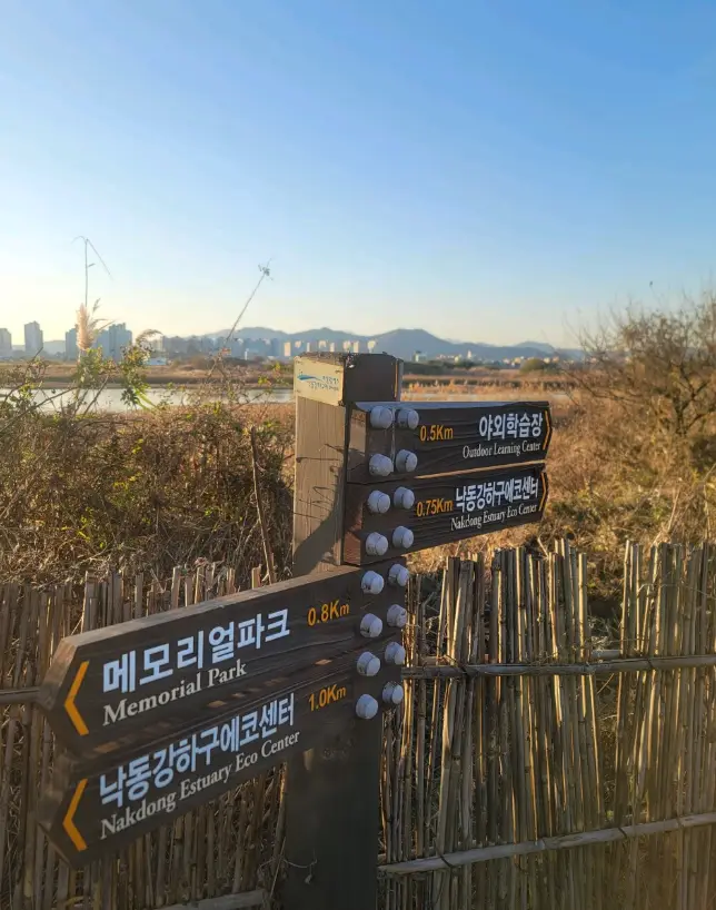 을숙도2