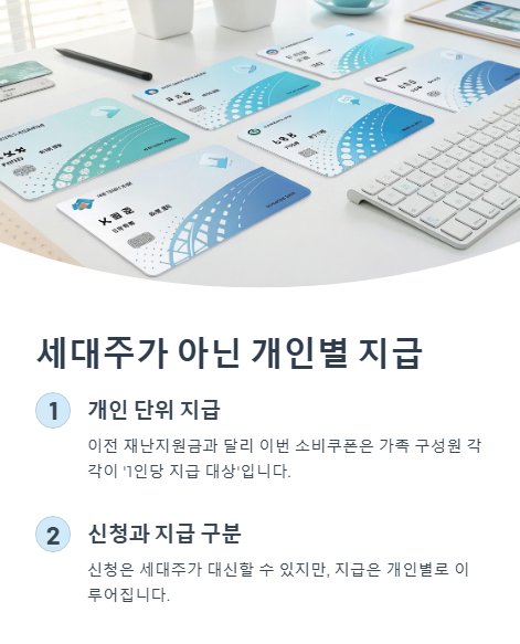 세대주가 아닌 개인별 지급