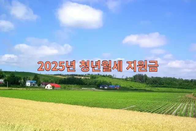 2025년 청년월세 지원금 관련 이미지