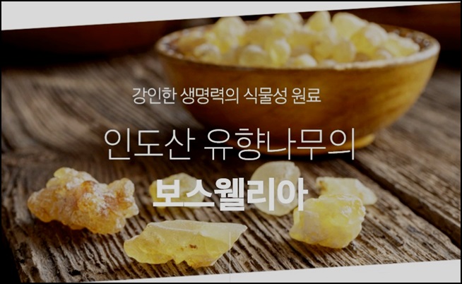 보스웰리아 조각 5개 놓여있는 모습입니다.