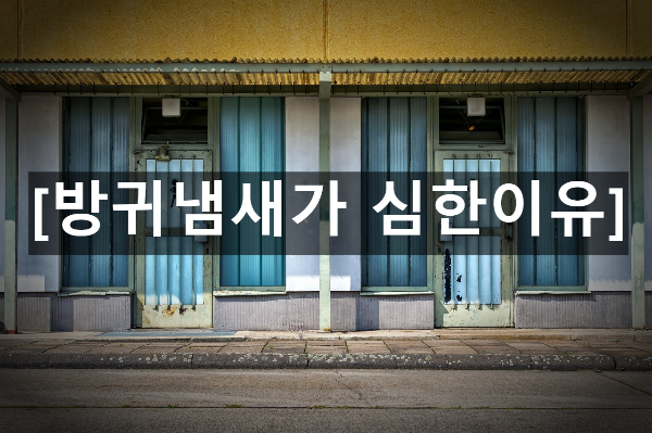  방귀냄새가 심한이유 4가지