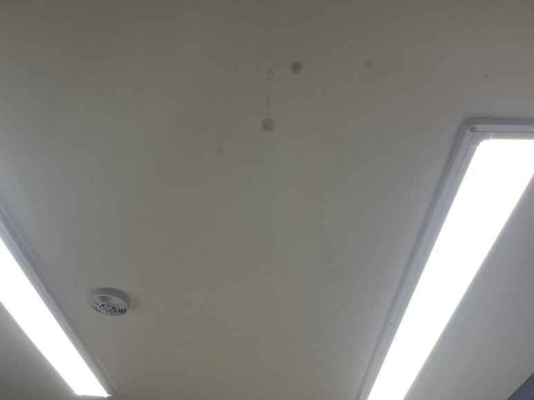 부분 인한 천장 도배하기 13