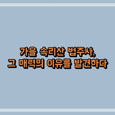 속리산 이미지