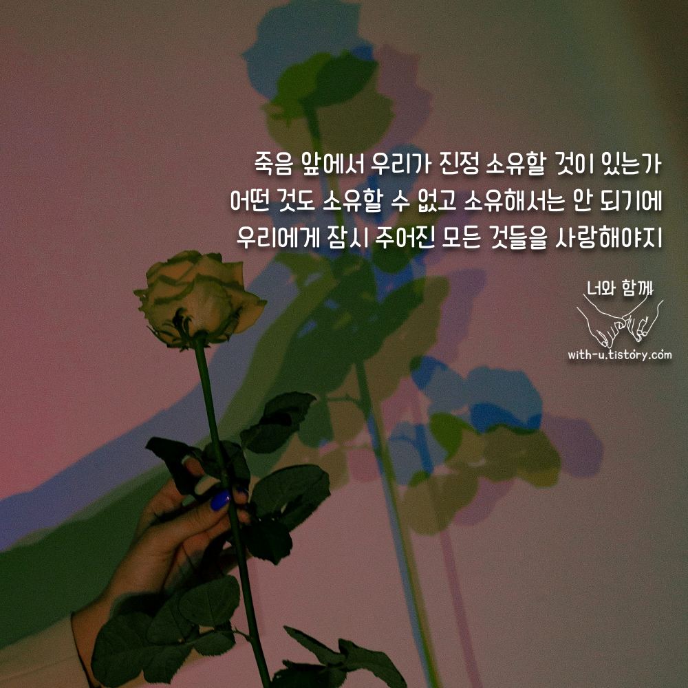  소유 명언 : 짧고 좋은 글귀 : 짧은 명언