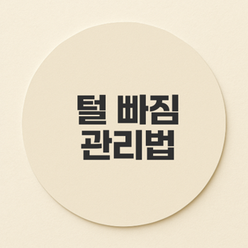 고양이 털 빠짐 관리법