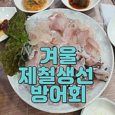 방어회 겨울 제철생선