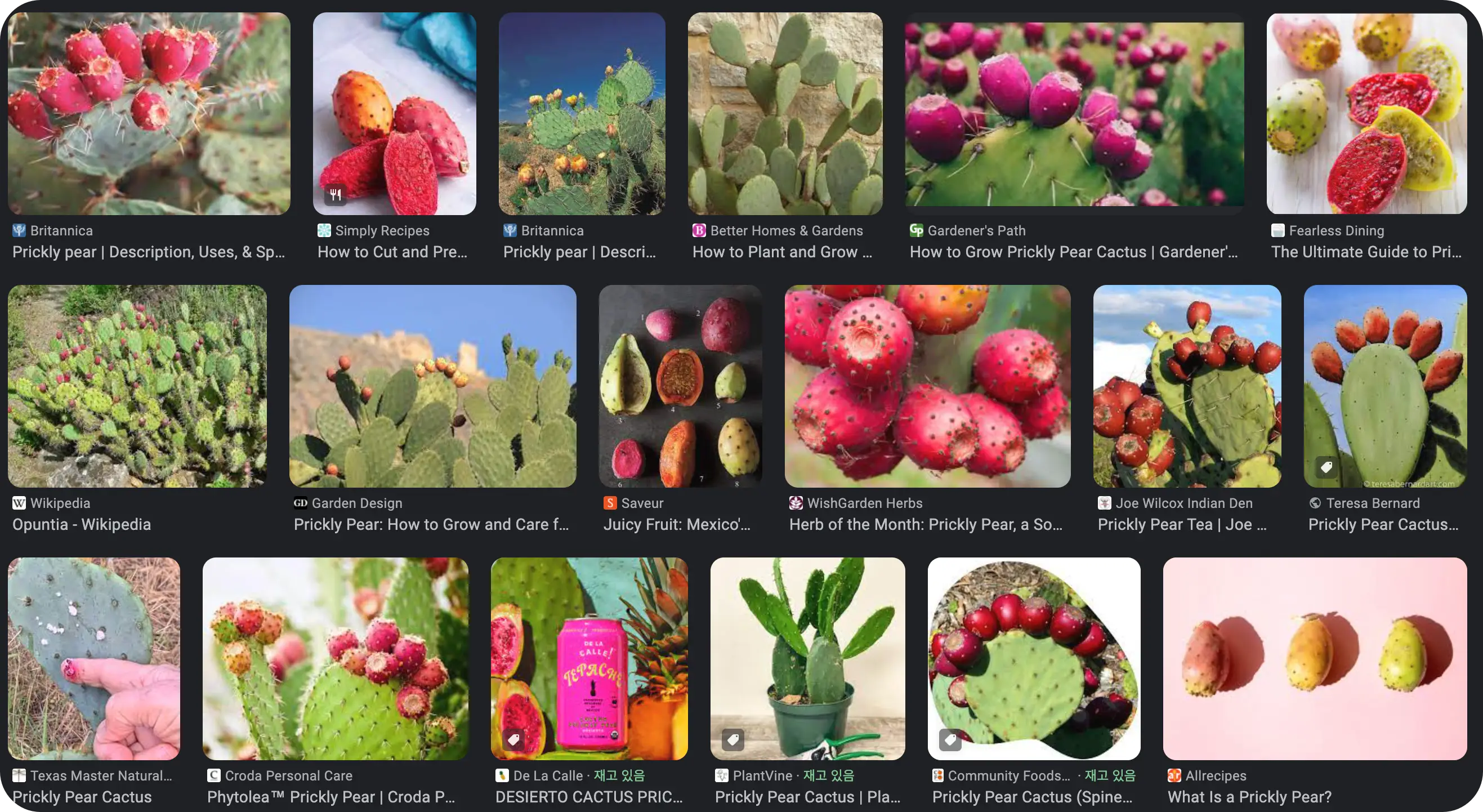 간수치 낮추는 과일 prickly pear