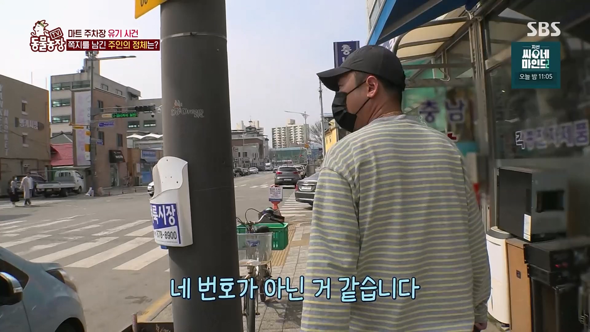 TV 동물농장.E1115.230409p.H264-F1RST.mp4_20230409_173038.181.jpg