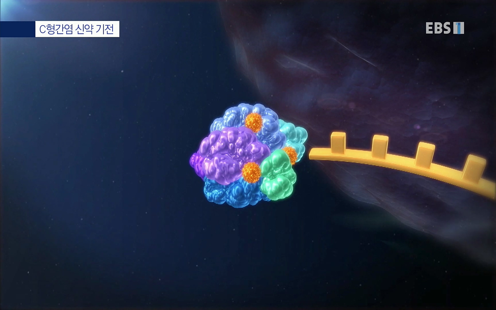 EBS 명의 헬스케어 - TV - 교육의 중심 EBS명의 15년 - 간, 완치에 도전하다.mp4_20220802_202431.496.jpg