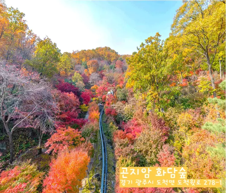 곤지암 화담숲 단풍사진