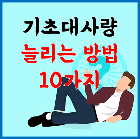 기초대사량 늘리는 방법 10가지 :: 서울 경기 제주 부산 대구 광주 대전 정보 모음 기초대사량 늘리는 방법 10가지 :: 서울 경기 제주 부산 대구 광주 대전 정보 모음