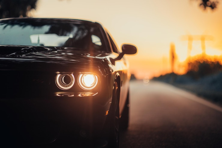 bmw5 시리즈