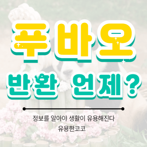  푸바오 반환 언제?
