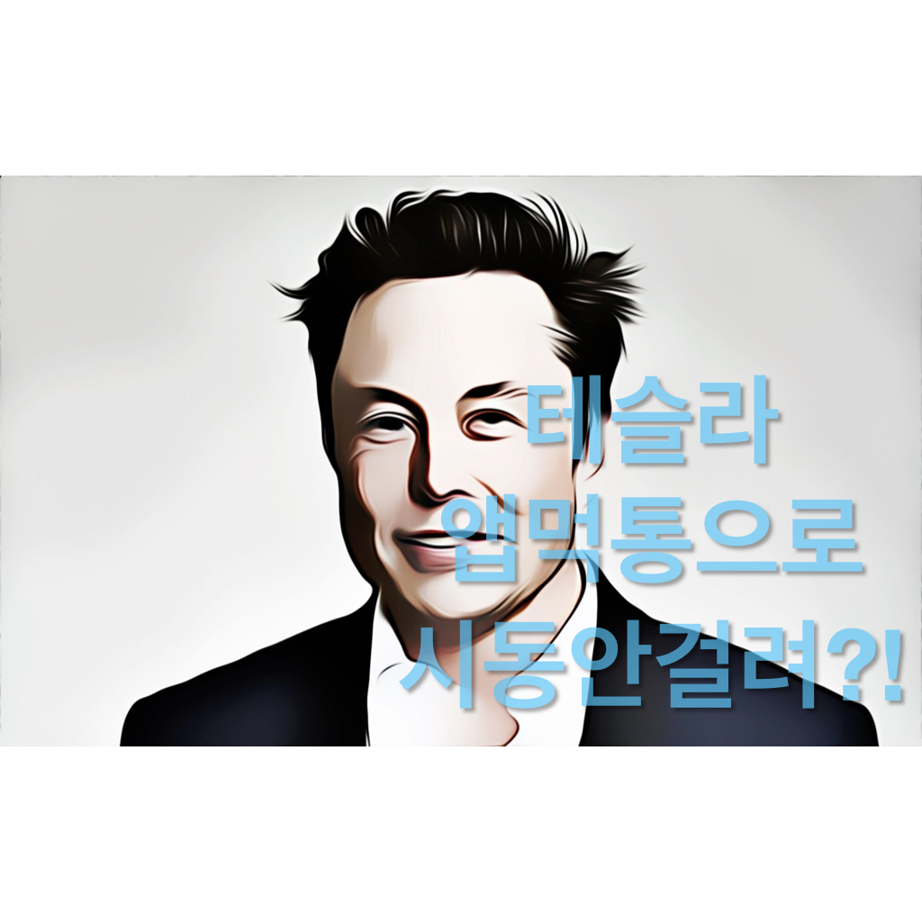  테슬라 앱먹통에 시동 안걸리고 차문 안열려?!