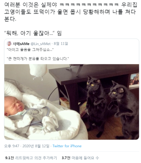  아기 집사가 우는 걸 보고 깜놀한 고영희