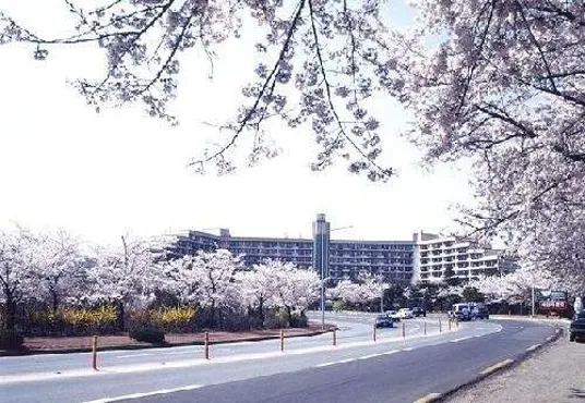 한화리조트 경주