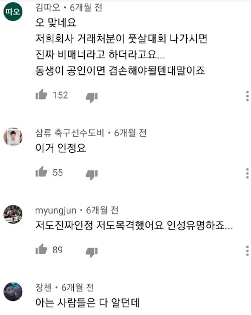 손흥민 형 손흥윤 씨 루머 인성 논란 유튜브 댓글