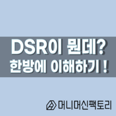  DSR, 한방에 이해하기