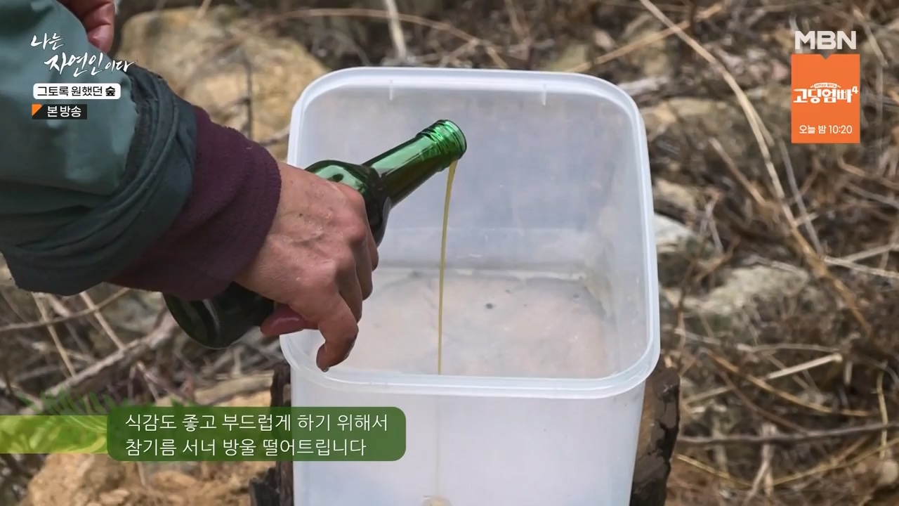 나는 자연인이다.E591.240132p-NEXT.mp4_20240201_195751.984.jpg