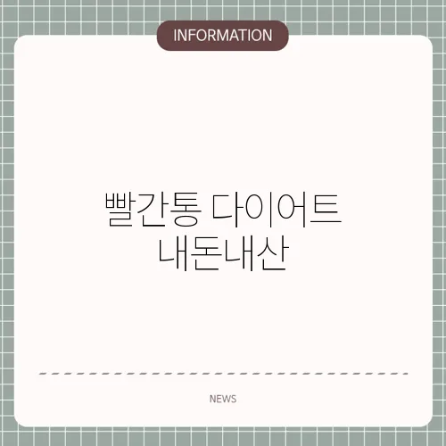 빨간통 다이어트 내돈내산