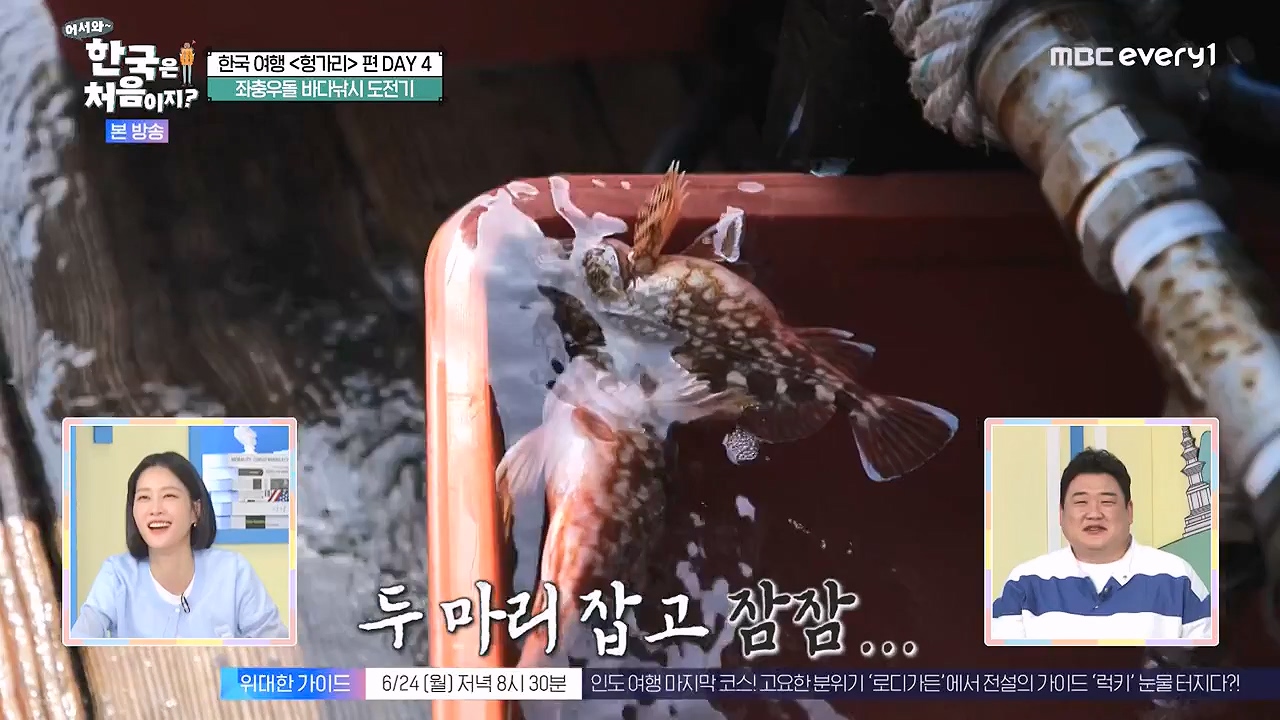 어서와 한국은 처음이지 시즌2.E319.240621p-NEXT.mp4_20240621_202659.374.jpg
