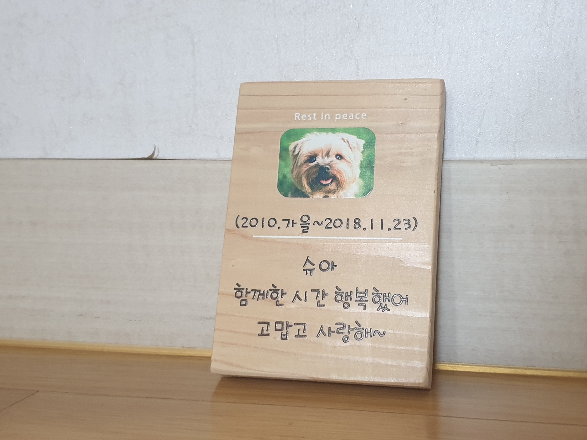나무와간판 이미지