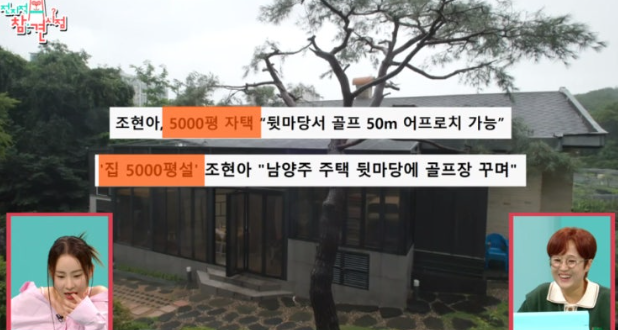 조현아의 남양주 주택