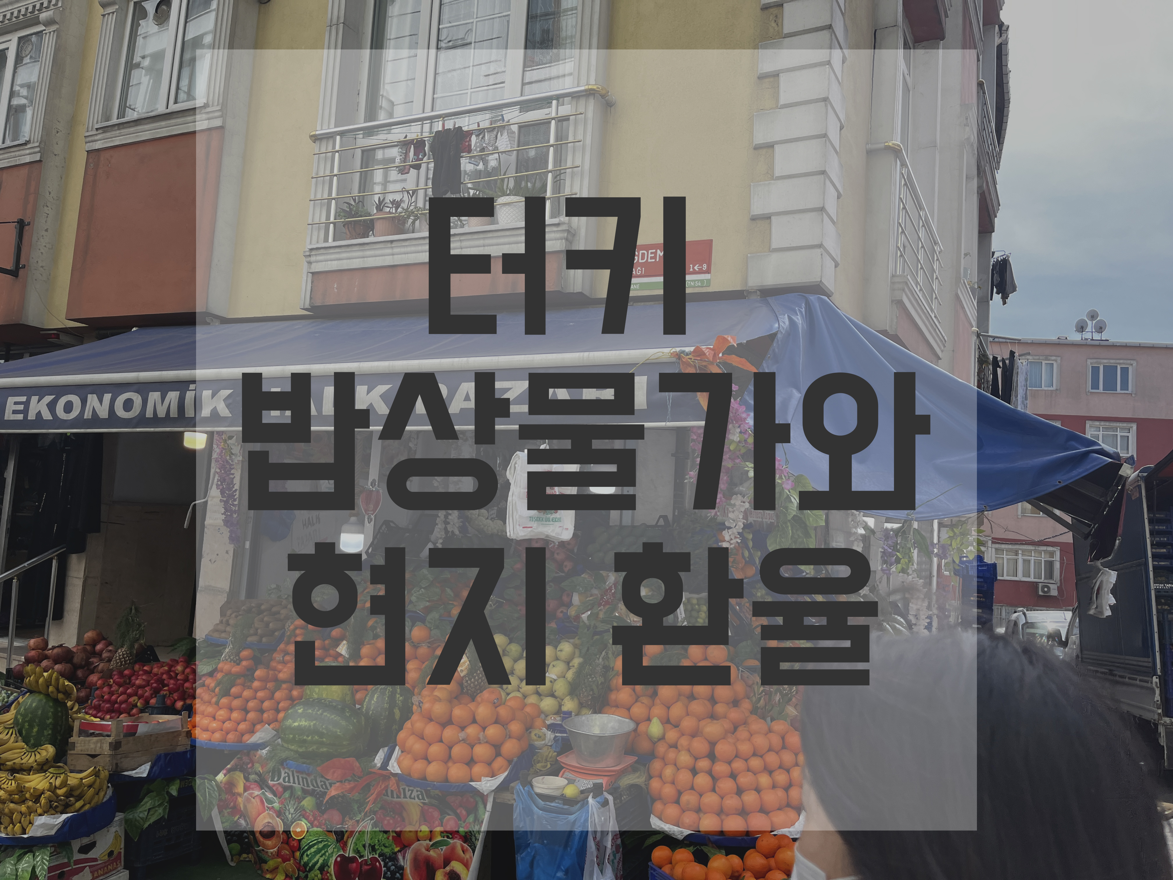 터키 이스탄불 여행을 위한 터키 밥상물가와 리라 환율