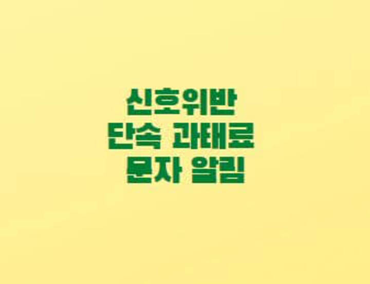  신호위반 과속 단속 과태료 문자 알림 서비스 신청 방법