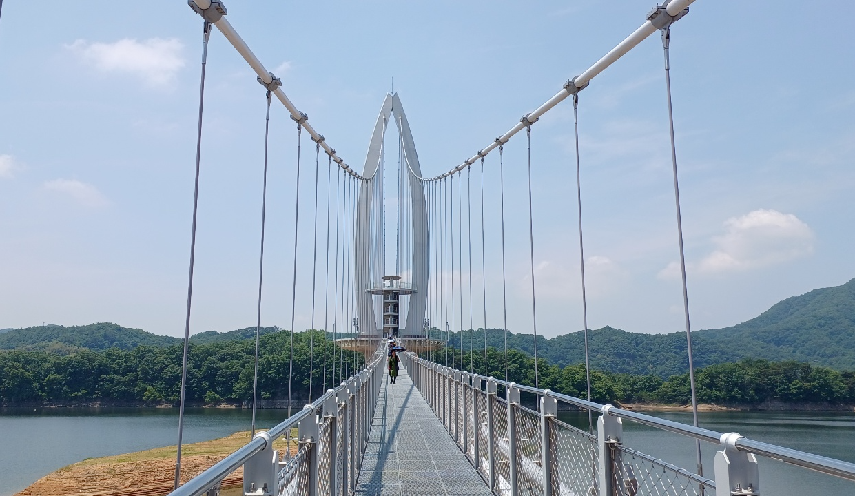 붕어섬 출렁다리1