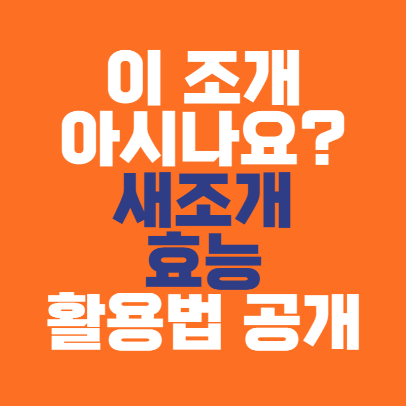 새조개 효능 활용법