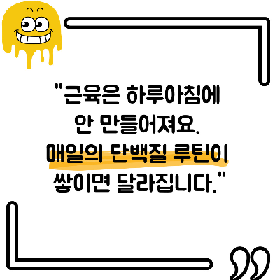단백질 많은 음식