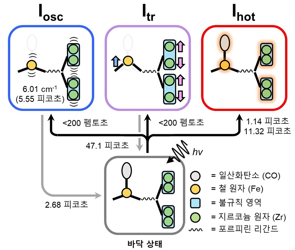 금속.유기 구조체 내의 전반적인 구조동역학 모식도