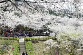 서대문-안산 자락길-2