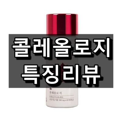  콜레올로지 구매 전 알아두시면 유용한 정보들