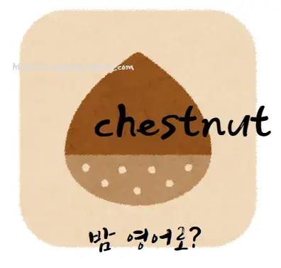 먹는-밤-영어-로-chestnut
