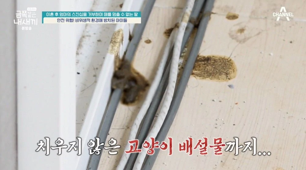 금쪽 담배 커피