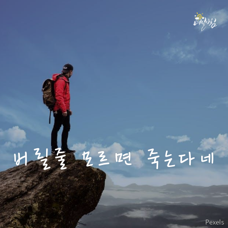  [매일아침좋은글] 버릴줄 모르면 죽는다네