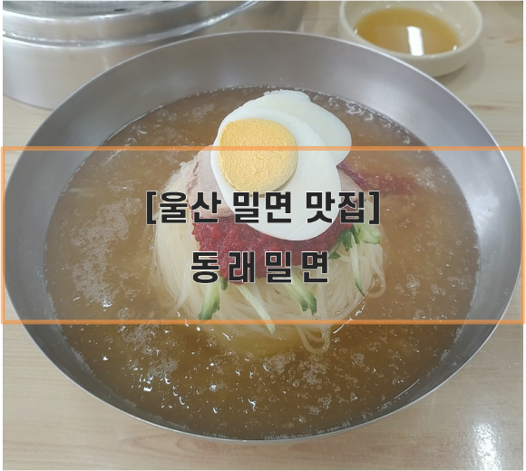  [울산 삼산동 밀면 맛집] 동래 밀면 후기ㅣ무더운 여름에 먹기 좋은 음식!