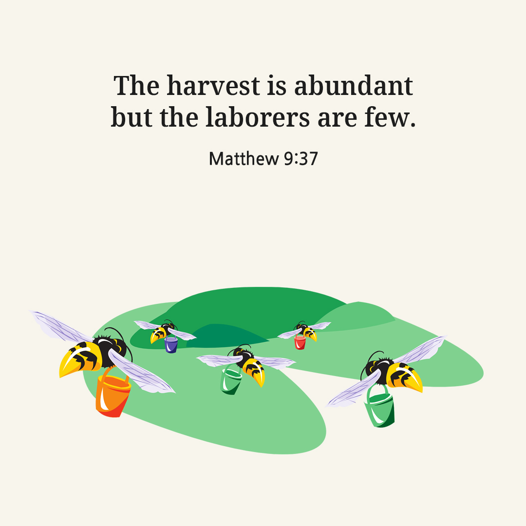 The harvest is abundant but the laborers are few. (Matthew 9:37)