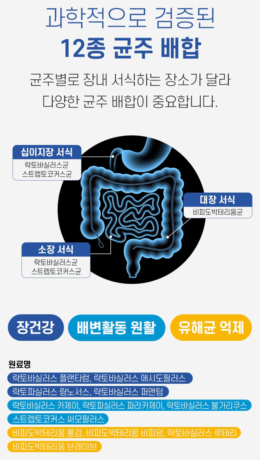 사진6