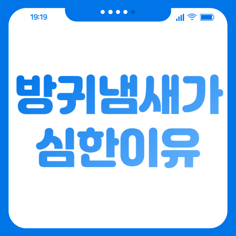 방귀냄새가 심한이유