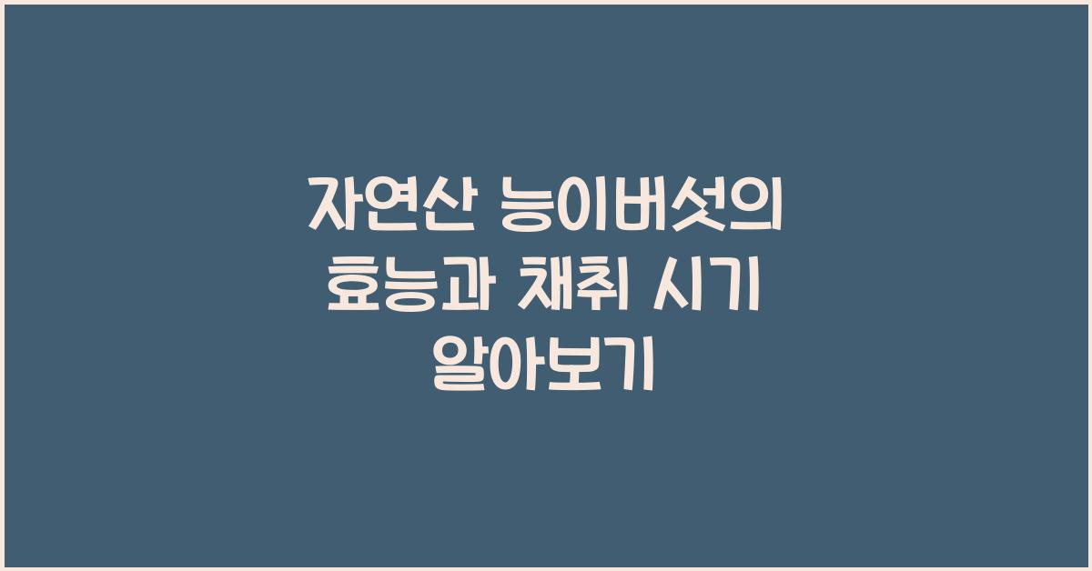 자연산 능이버섯의 효능과 채취 시