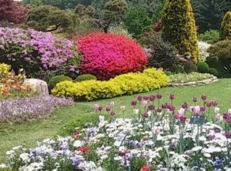 아침고요수목원 산책길 풍경