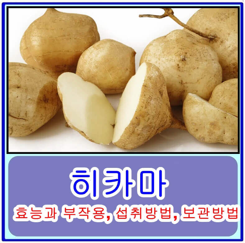 히카마