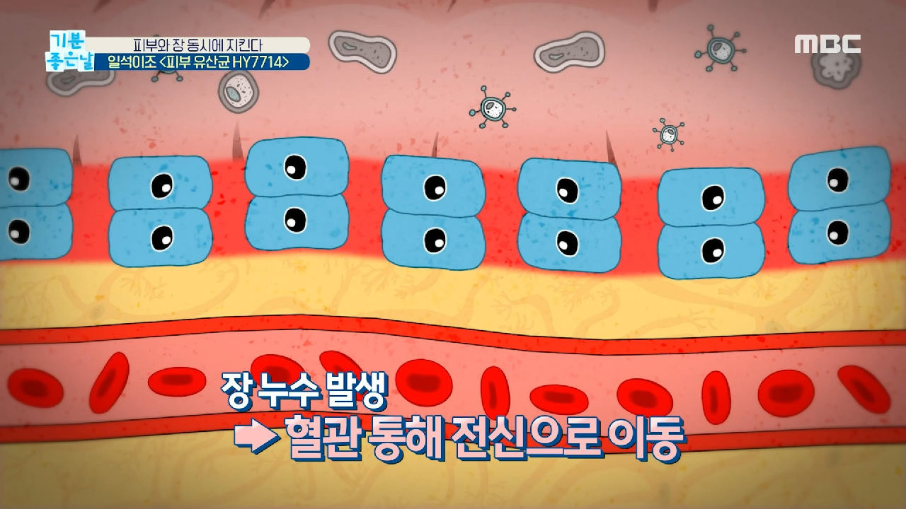  기분 좋은 날 중년 수분 촉촉 천연 보습팩 다시마 바나나 당근 피부 수분 보습 건강 피부 유산균 HY7714 피부/전신/장 건강  최은주 피부 독소 배출 운동 피부 각질 제거 세라마이드 피부 나이 되..