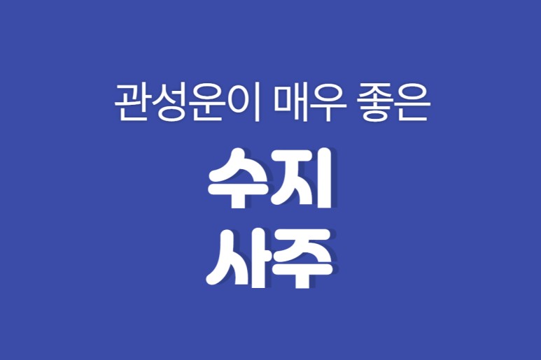 가수 겸 영화배우 수지: 직업운과 이성은이 좋은 사주 1