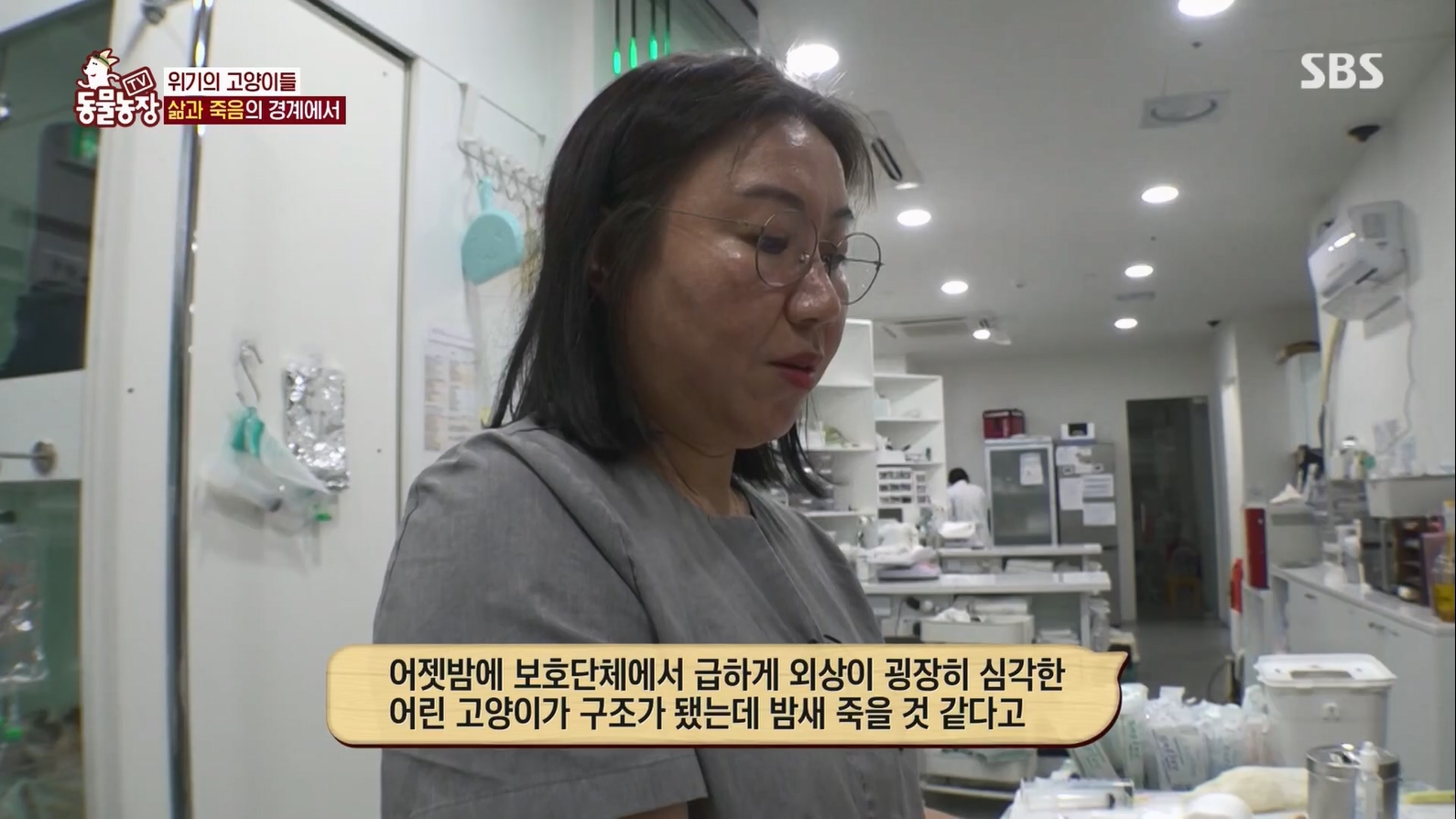 TV 동물농장.E1127.230702p.H264-F1RST.mp4_20230704_212715.565.jpg