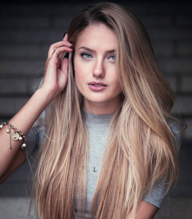 슈미트(schmidt) 이미지